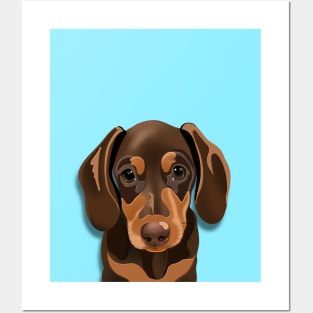 Dachshund Puppy Posters and Art